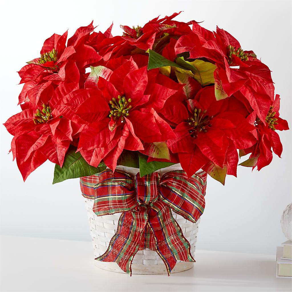 Happiest Holidays Poinsettia – DEE'S FLORAL & DESIGNS, Fairmont MN