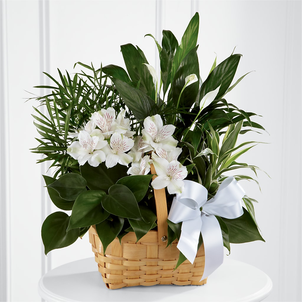 Peace & Serenity Dishgarden – DEE'S FLORAL & DESIGNS, Fairmont MN