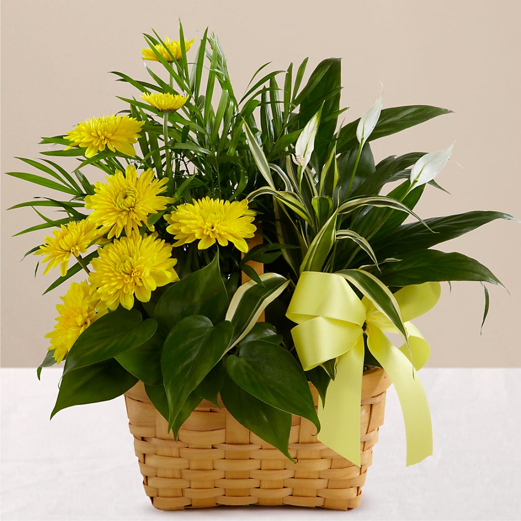Loving Light Dishgarden – DEE'S FLORAL & DESIGNS, Fairmont MN