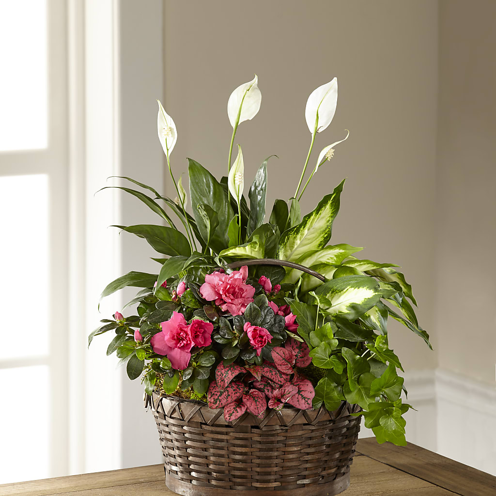 Dream in Pink Dishgarden – DEE'S FLORAL & DESIGNS, Fairmont MN
