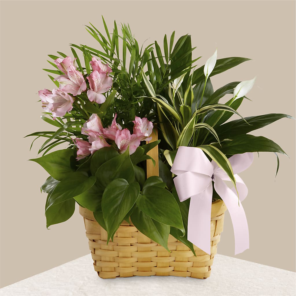 Living Spirit Dishgarden – DEE'S FLORAL & DESIGNS, Fairmont MN