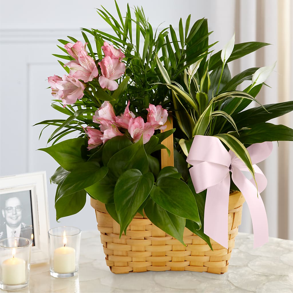 Living Spirit Dishgarden – DEE'S FLORAL & DESIGNS, Fairmont MN