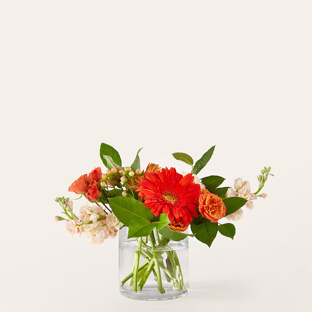 Paloma Please Bouquet – DEE'S FLORAL & DESIGNS, Fairmont MN