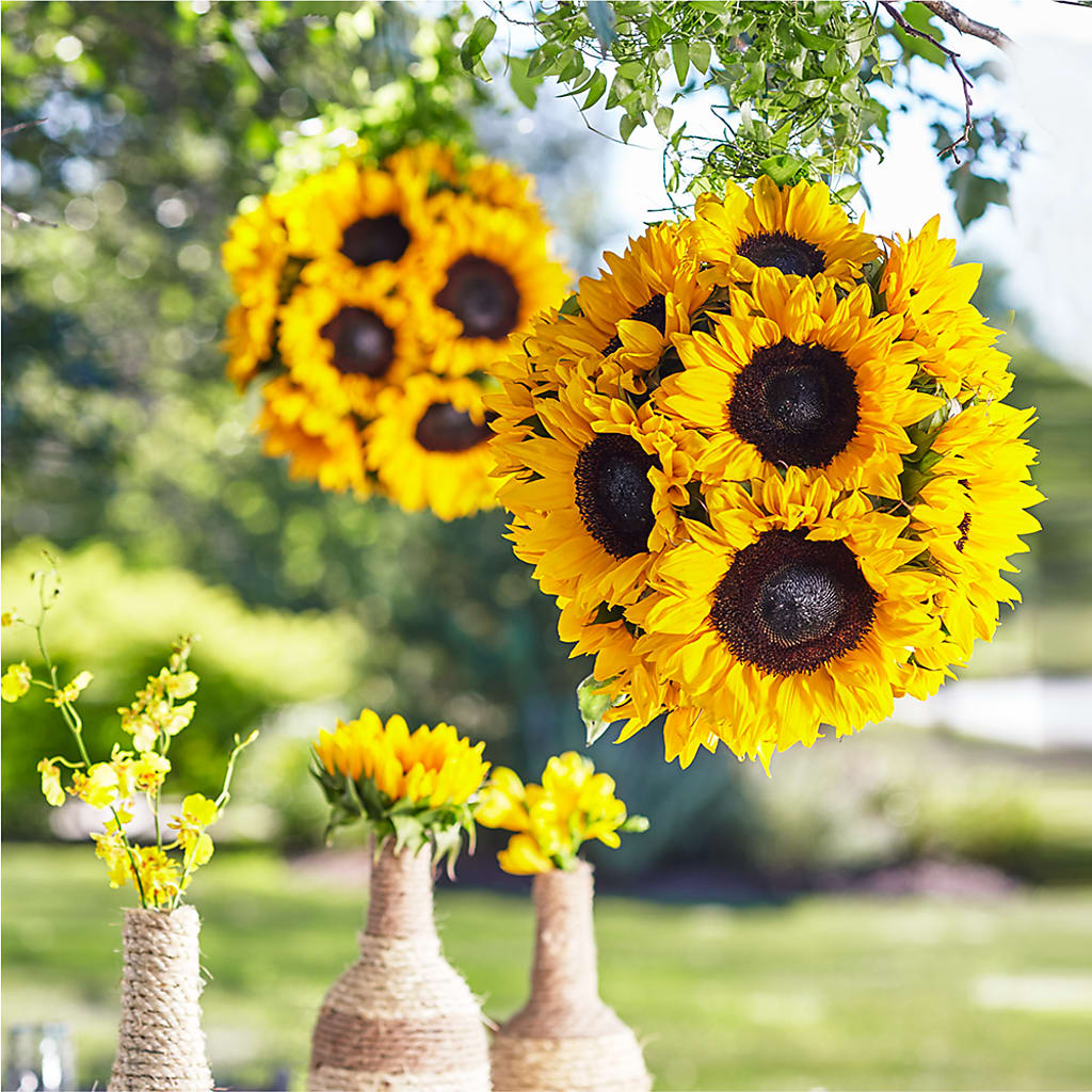 Sublime Garden Hanging Arrangement – DEE'S FLORAL & DESIGNS, Fairmont MN
