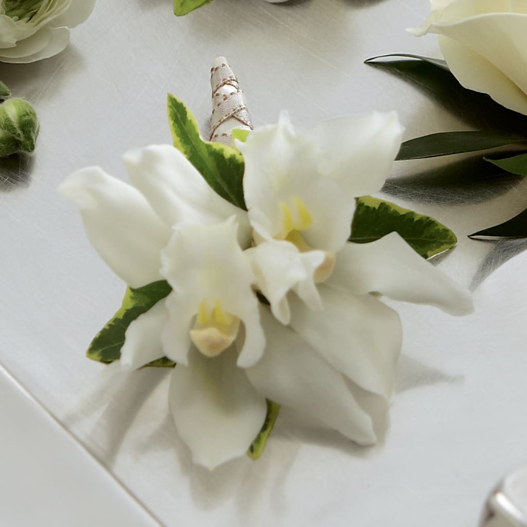 White Mini Cymbidium Boutonniere – DEE'S FLORAL & DESIGNS, Fairmont MN