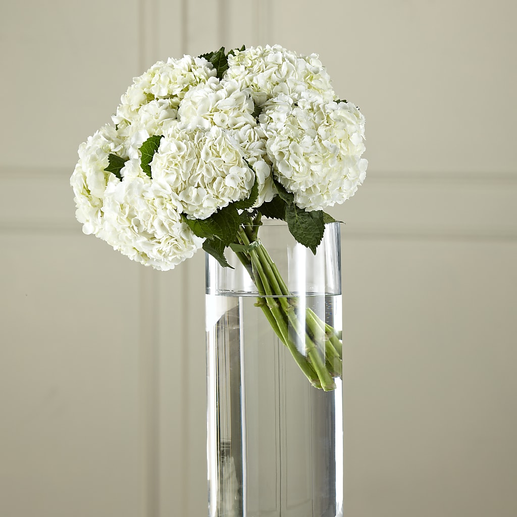 White Hydrangea Hand-Tied Bouquet – DEE'S FLORAL & DESIGNS, Fairmont MN