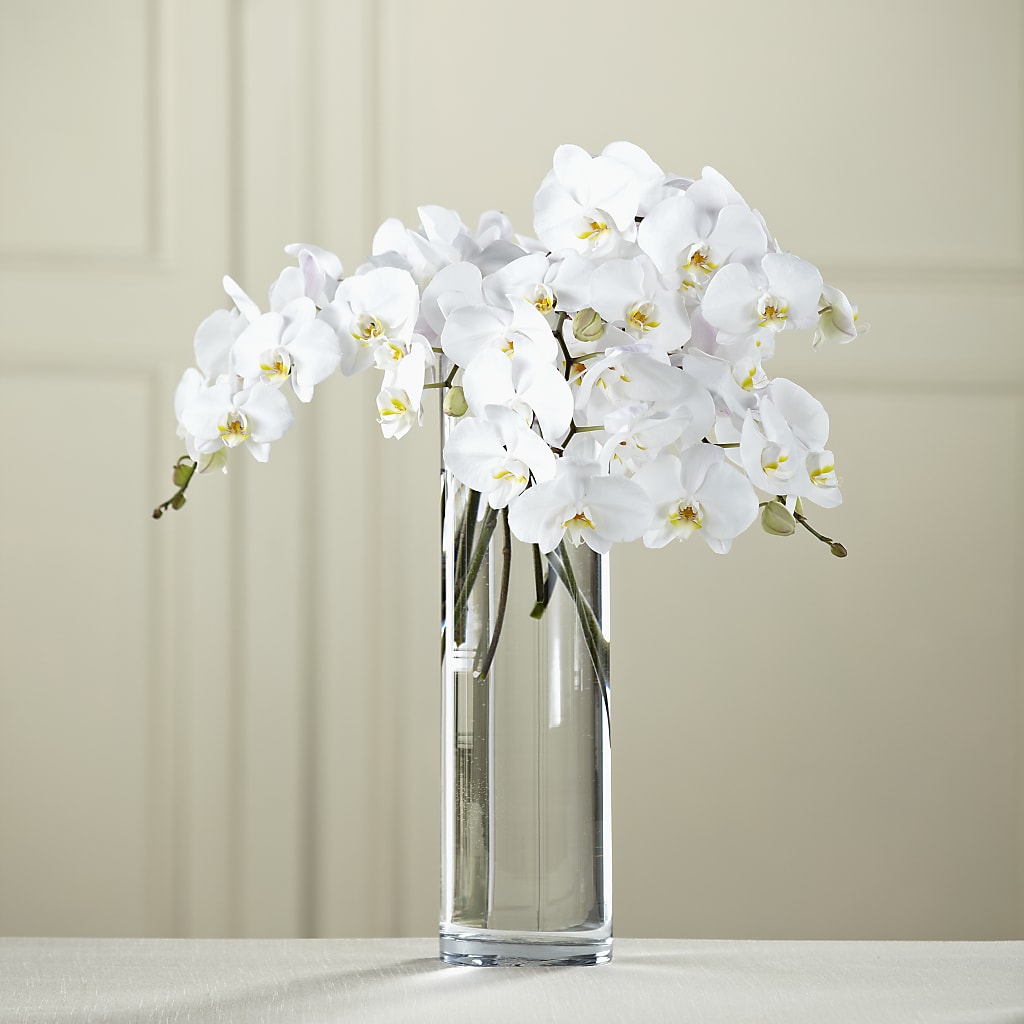 White Phalaenopsis Bouquet – DEE'S FLORAL & DESIGNS, Fairmont MN