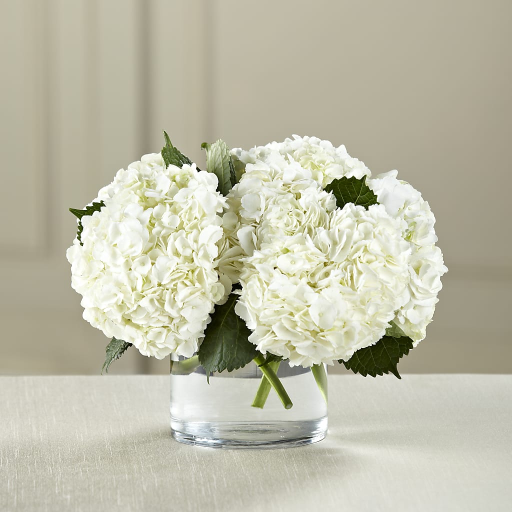 White Hydrangea Bouquet – DEE'S FLORAL & DESIGNS, Fairmont MN