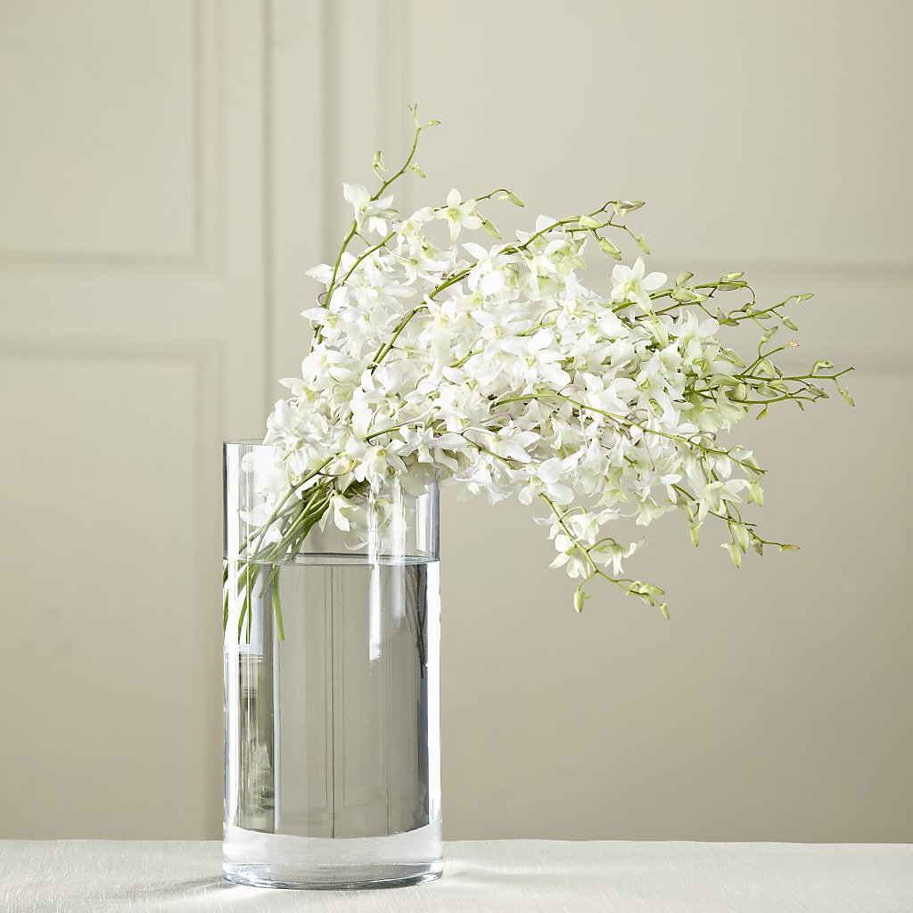 White Dendrobium Bouquet – DEE'S FLORAL & DESIGNS, Fairmont MN