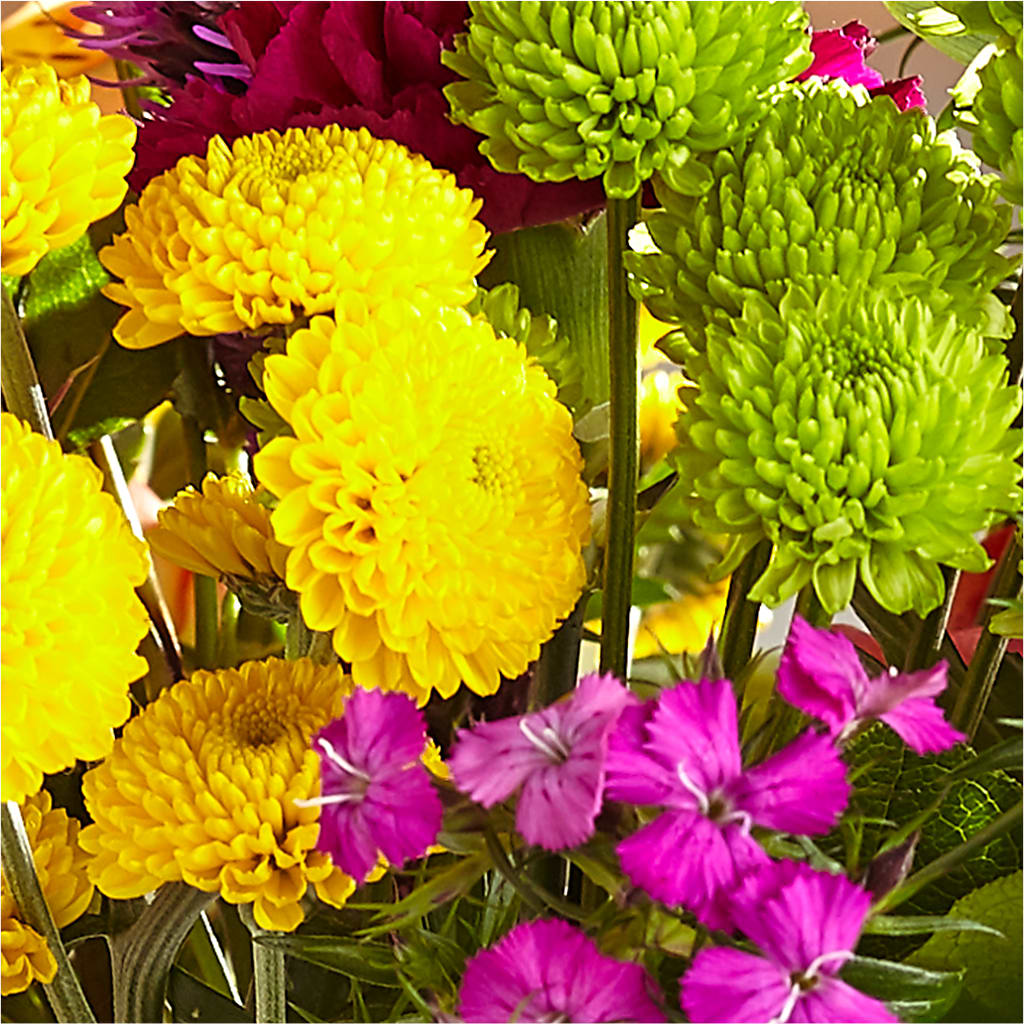 Bold & Bright – A Florist Original – DEE'S FLORAL & DESIGNS, Fairmont MN