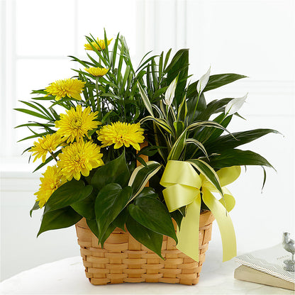 Loving Light Dishgarden – DEE'S FLORAL & DESIGNS, Fairmont MN