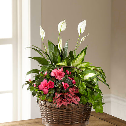 Dream in Pink Dishgarden – DEE'S FLORAL & DESIGNS, Fairmont MN