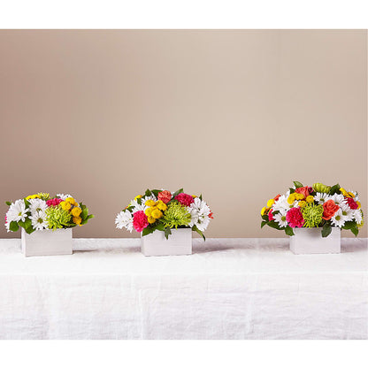Sorbet Bouquet – DEE'S FLORAL & DESIGNS, Fairmont MN