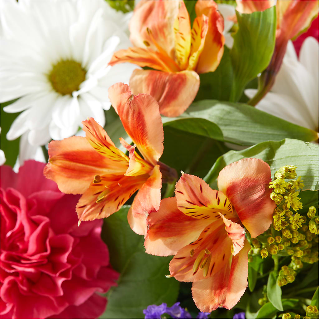 Oopsie Daisy Box Bouquet – DEE'S FLORAL & DESIGNS, Fairmont MN