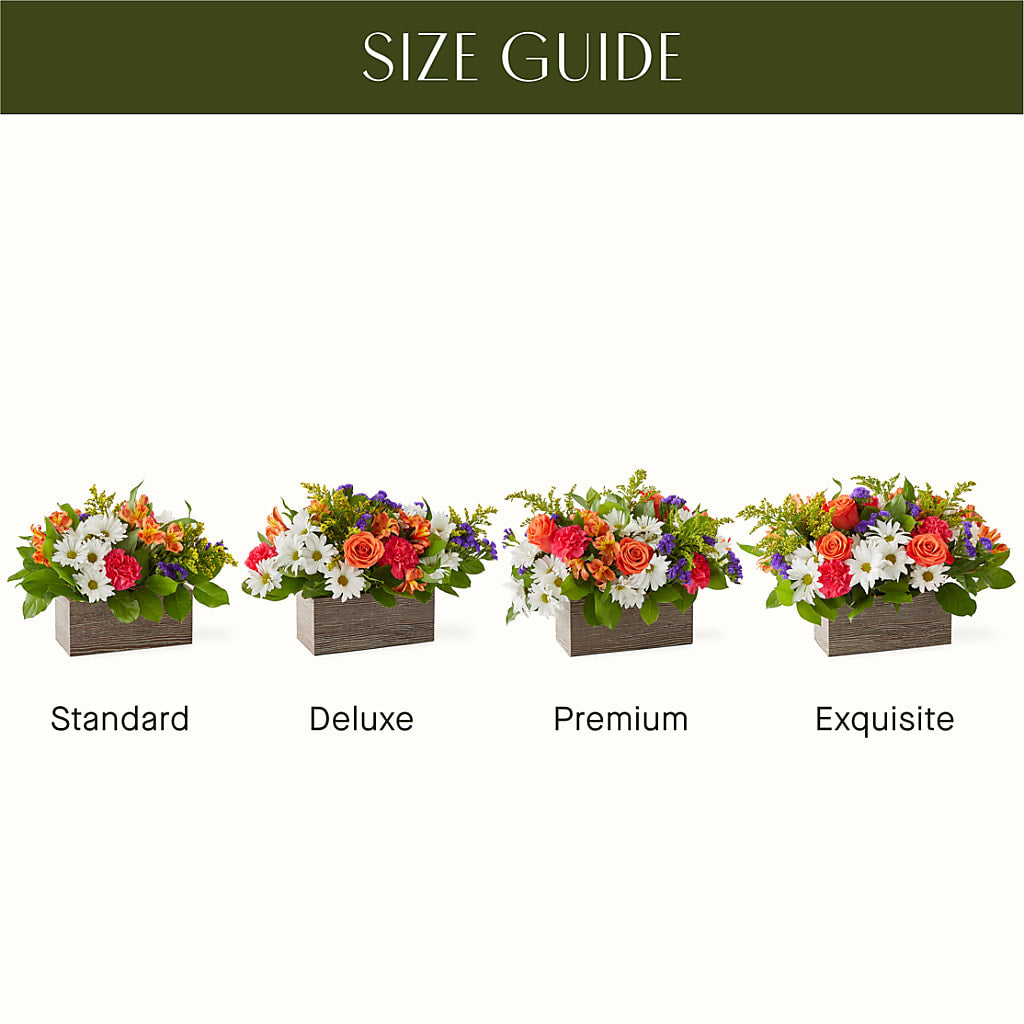 Oopsie Daisy Box Bouquet – DEE'S FLORAL & DESIGNS, Fairmont MN