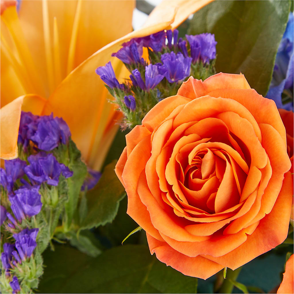 Radiant Citrus Box Bouquet – DEE'S FLORAL & DESIGNS, Fairmont MN