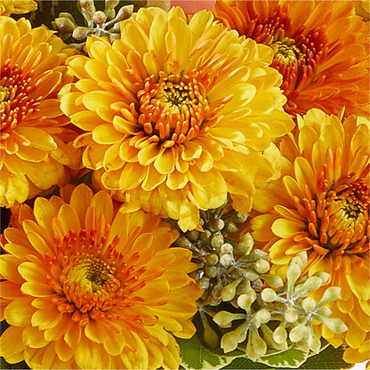 Peachy Pumpkin – DEE'S FLORAL & DESIGNS, Fairmont MN