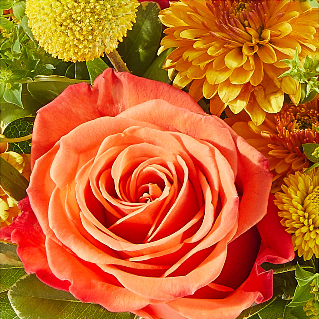 Gourdgeous Pumpkin – DEE'S FLORAL & DESIGNS, Fairmont MN