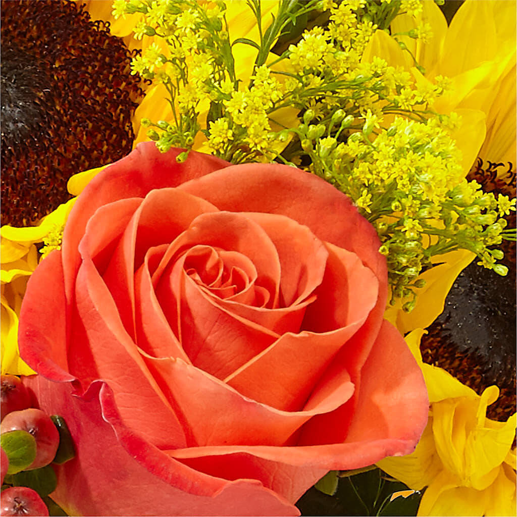 Pick of the Patch Pumpkin Bouquet – DEE'S FLORAL & DESIGNS, Fairmont MN
