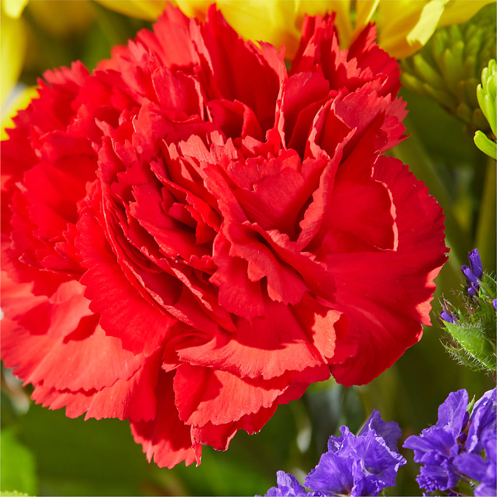 Brighter Days Bouquet – DEE'S FLORAL & DESIGNS, Fairmont MN