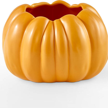 Pick of the Patch Pumpkin Bouquet – DEE'S FLORAL & DESIGNS, Fairmont MN