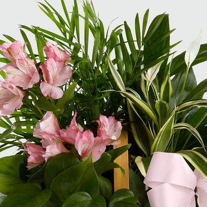 Living Spirit Dishgarden – DEE'S FLORAL & DESIGNS, Fairmont MN