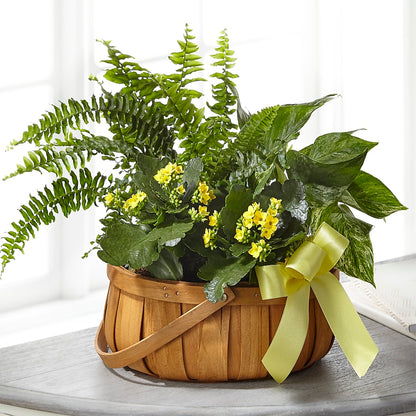 Always Dear Dishgarden – DEE'S FLORAL & DESIGNS, Fairmont MN