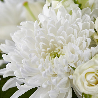 Classic Ivory – A Florist Original – DEE'S FLORAL & DESIGNS, Fairmont MN