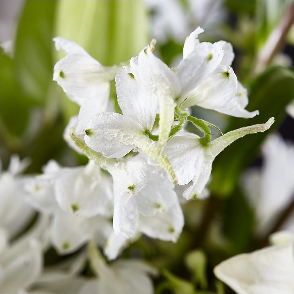Classic Ivory – A Florist Original – DEE'S FLORAL & DESIGNS, Fairmont MN