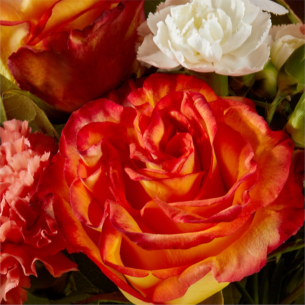 Apricot Glow Bouquet – DEE'S FLORAL & DESIGNS, Fairmont MN