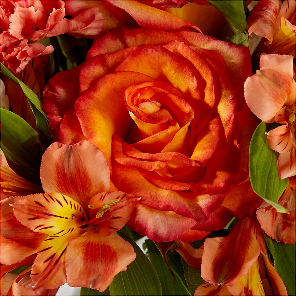 Apricot Glow Bouquet – DEE'S FLORAL & DESIGNS, Fairmont MN