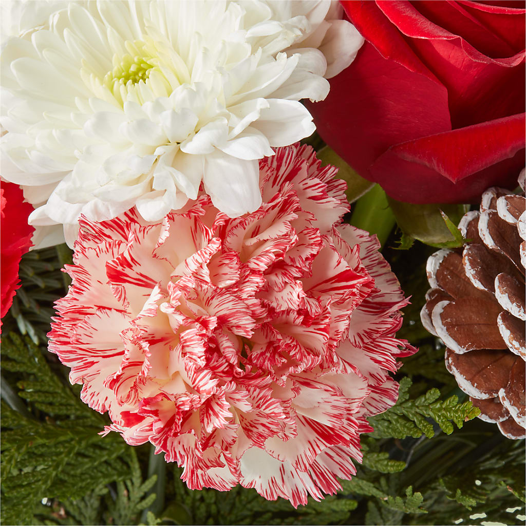 Candy Cane Lane Bouquet – DEE'S FLORAL & DESIGNS, Fairmont MN