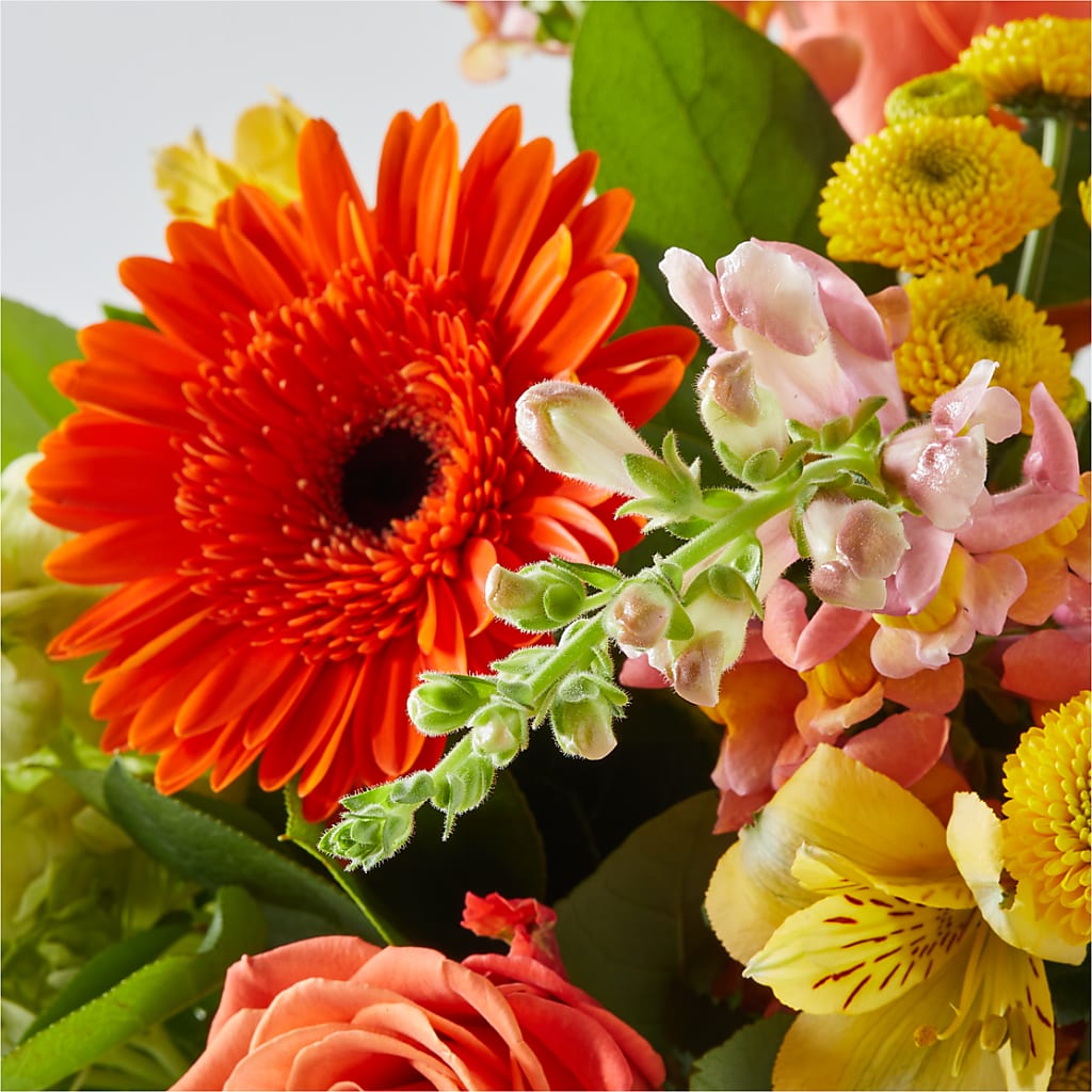 Autumn Sunshine Bouquet – DEE'S FLORAL & DESIGNS, Fairmont MN