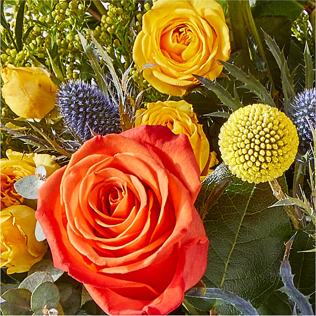 Disco Bouquet – DEE'S FLORAL & DESIGNS, Fairmont MN