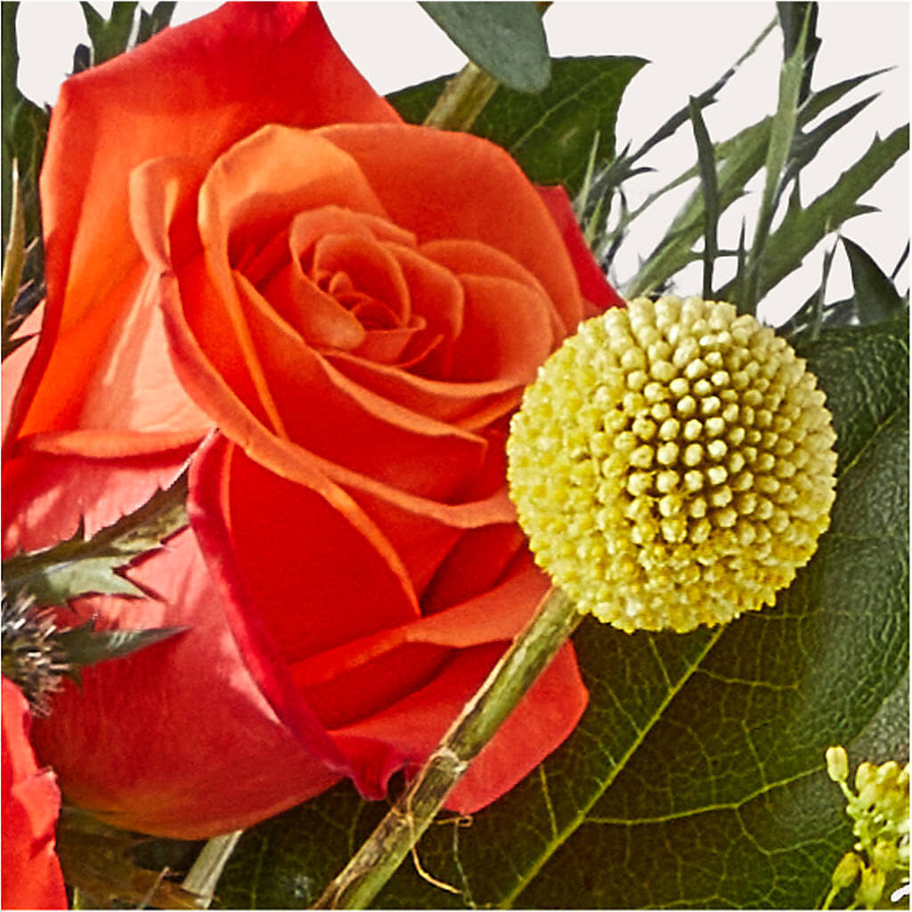 Disco Bouquet – DEE'S FLORAL & DESIGNS, Fairmont MN