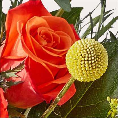 Disco Bouquet – DEE'S FLORAL & DESIGNS, Fairmont MN