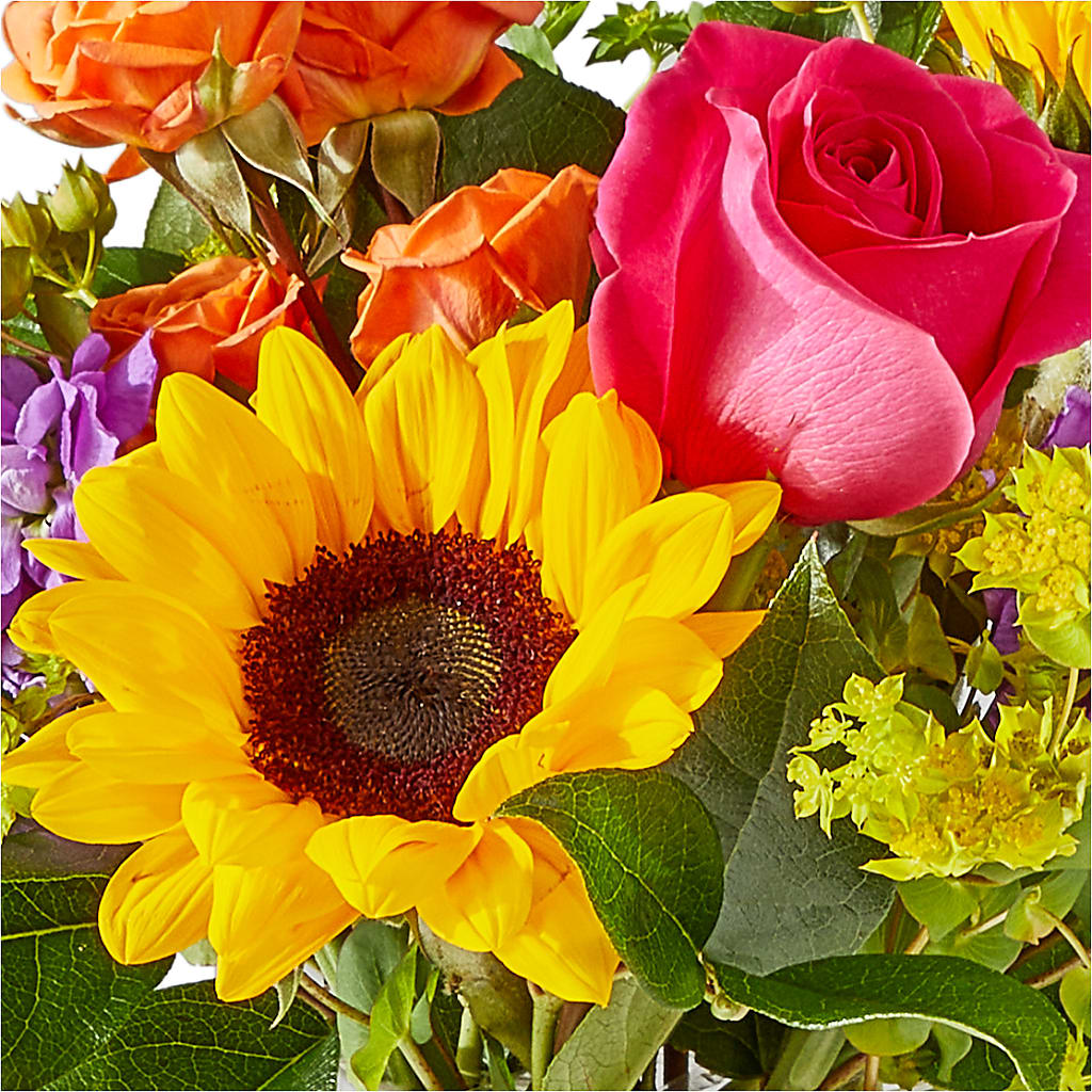 Vibrant Greetings Bouquet – DEE'S FLORAL & DESIGNS, Fairmont MN