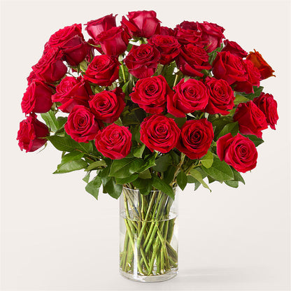 The One Red Rose Bouquet – DEE'S FLORAL & DESIGNS, Fairmont MN