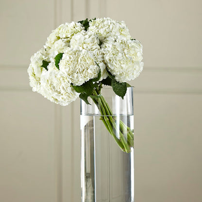 White Hydrangea Hand-Tied Bouquet – DEE'S FLORAL & DESIGNS, Fairmont MN