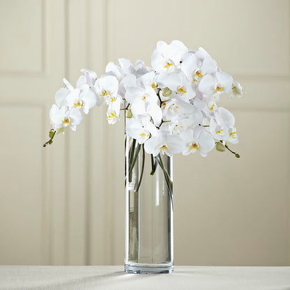 White Phalaenopsis Bouquet – DEE'S FLORAL & DESIGNS, Fairmont MN