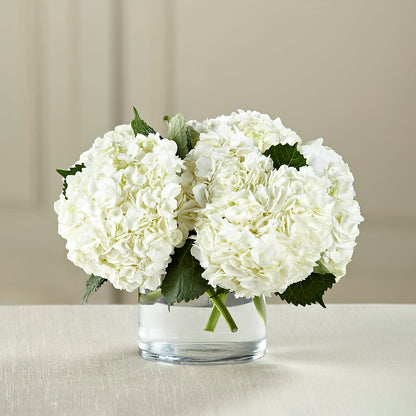 White Hydrangea Bouquet – DEE'S FLORAL & DESIGNS, Fairmont MN
